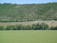 2007-05-19-Weinwanderung-005  Saaliwood
