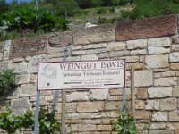 2007-05-19-Weinwanderung-018