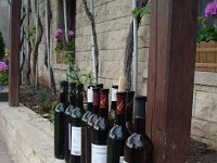 2007-05-19-Weinwanderung-040