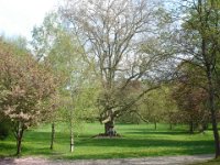2008-05-03-WW-096(SONY)