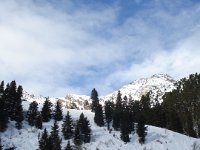 2009-01-24 13Uhr22-Stubai-032