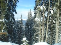 2009-01-26 14Uhr19-Wolkenstein-064