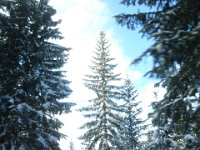 2009-01-26 14Uhr20-Wolkenstein-066