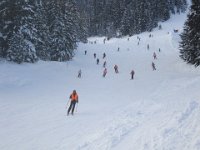 2009-01-26 15Uhr00-Wolkenstein-089