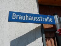 P1140520  hier fühlt der gemeine Frosch sich schon viel wohler