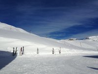 IMG 2411