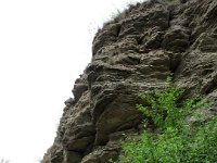 IMG 3519