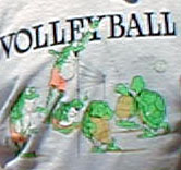 Frosch-Shirt