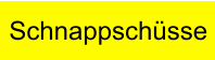 Schnappschüsse