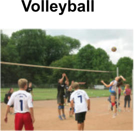 Volleyball